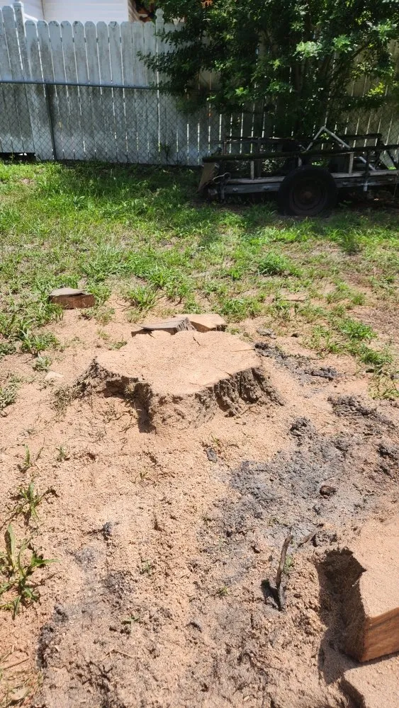 Trusted landscape installation for beautiful yards across Orlando, FL - MC's Landscaping & Services