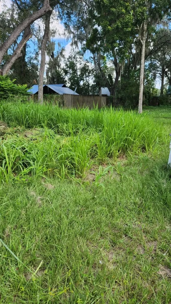 Affordable landscaping services for residential properties across Orlando, FL - MC's Landscaping & Services