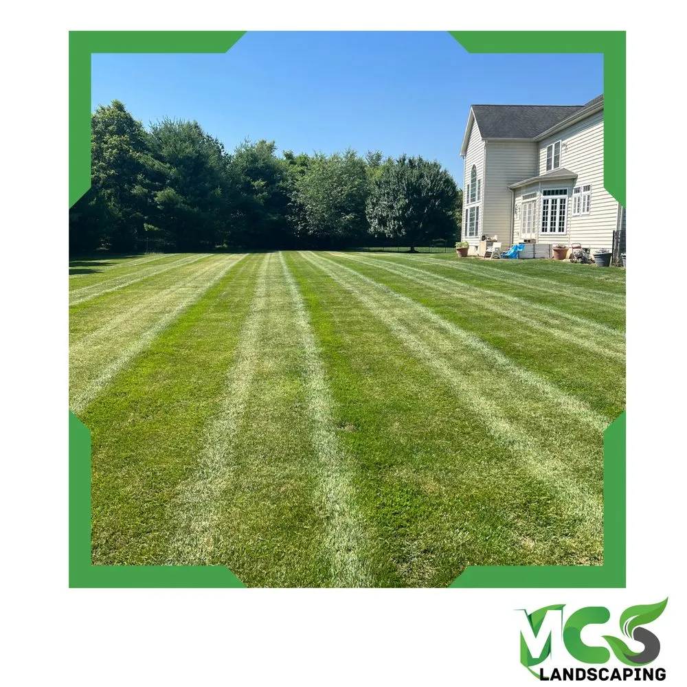 Professional yard maintenance in Bel Air, MD by MCS Landscaping