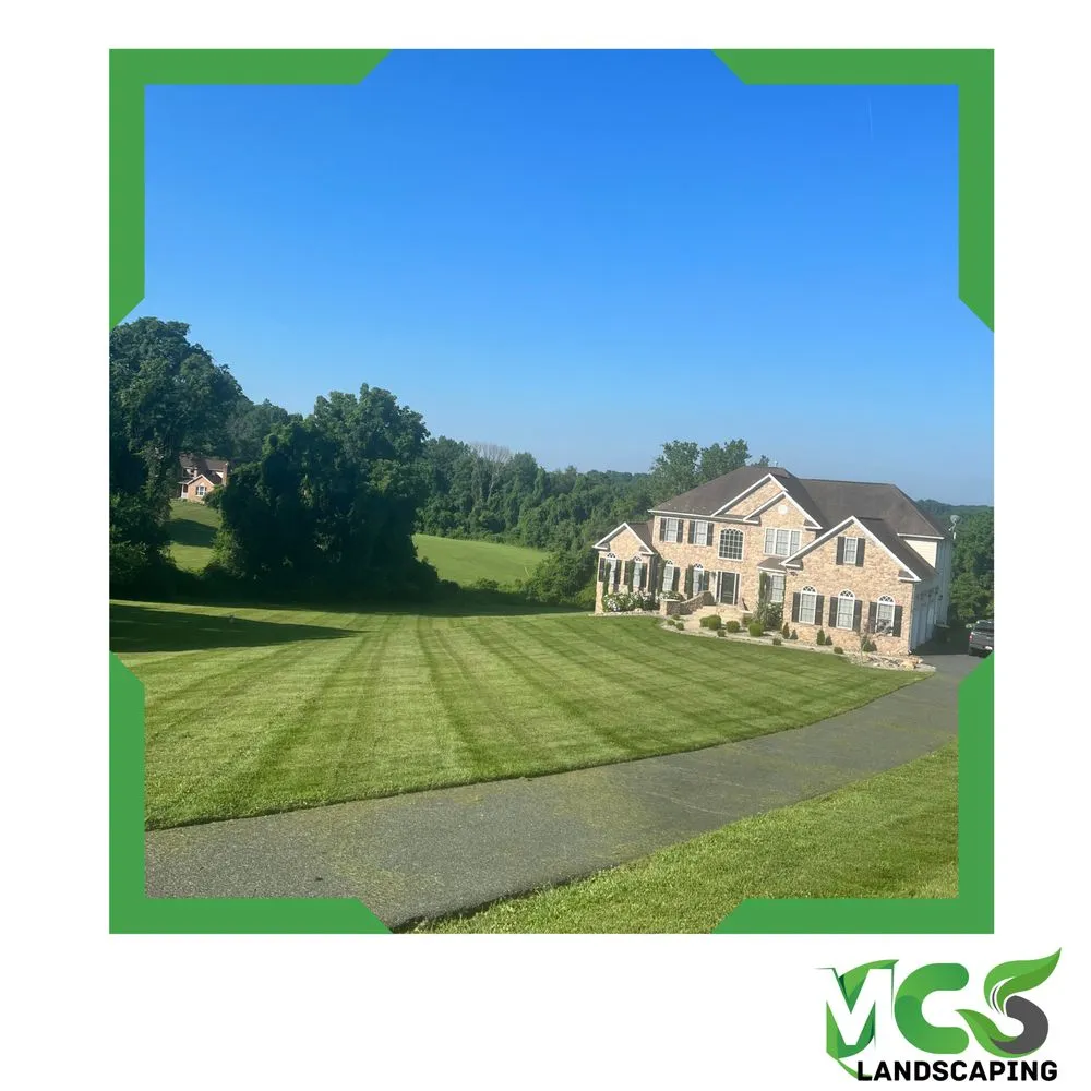 Custom yard cleanup service experts serving Bel Air, MD - MCS Landscaping