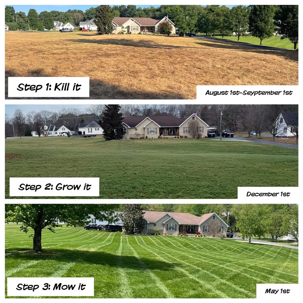 Trusted lawn care service with custom design in Glasgow, KY by MCS Lawn Care
