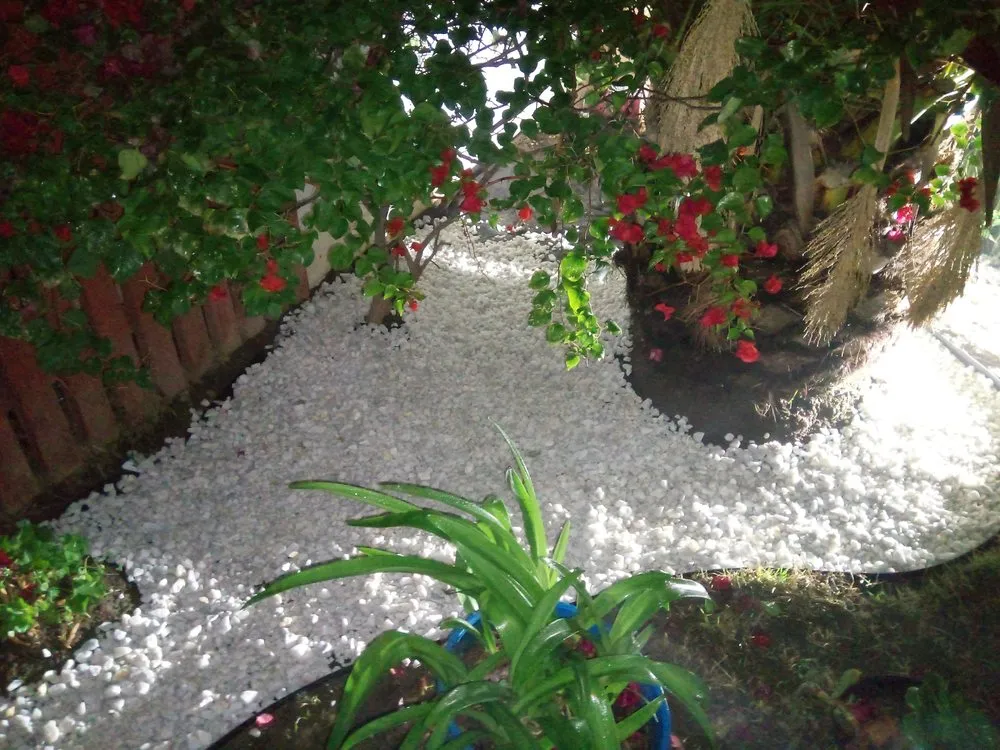 Top-rated lawn mowing service in Lindsay, CA - MC's Lawn Care