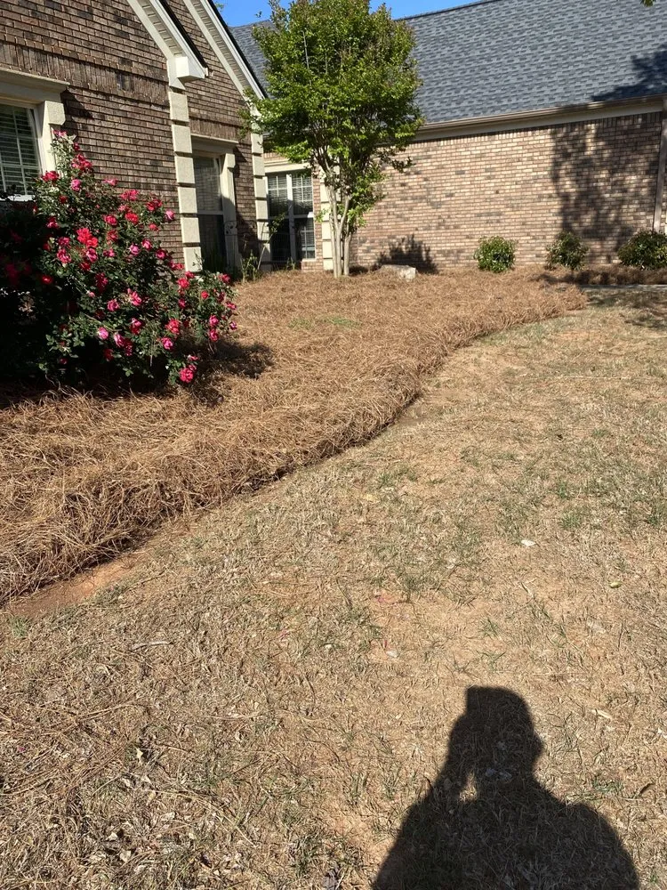 Affordable yard maintenance in Macon, GA by Mc’s Lawn Service