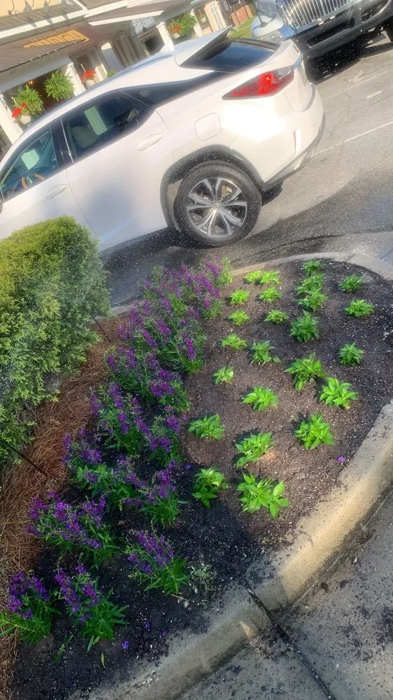 Affordable landscaping services experts serving Macon, GA - Mc’s Lawn Service