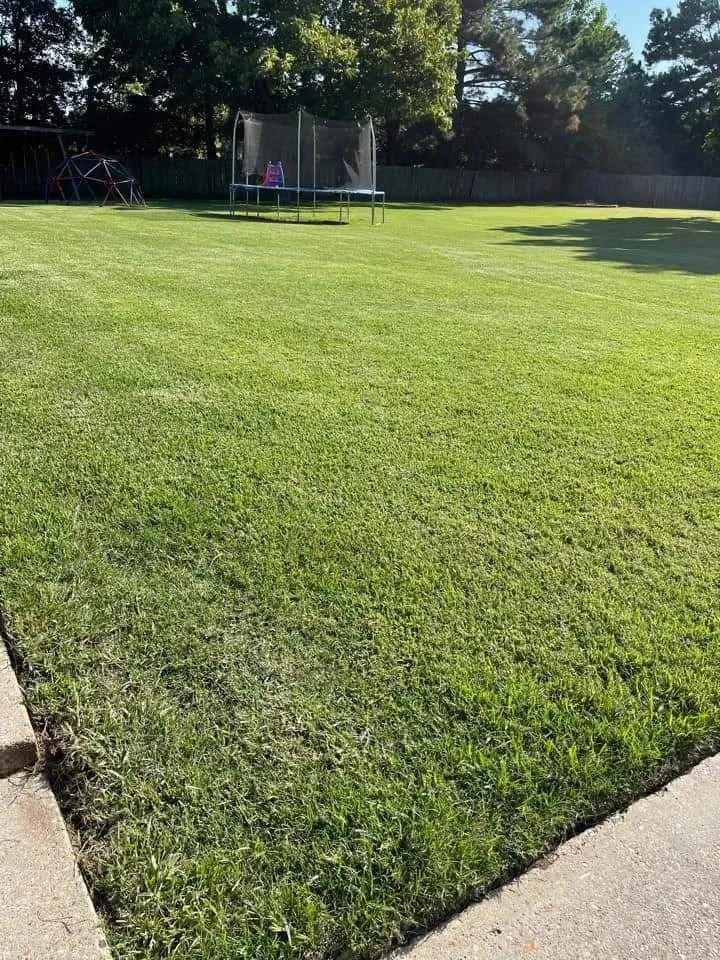 Professional yard maintenance experts serving Shreveport, LA - MC'S Lawn service