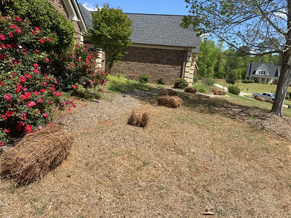 Professional lawn mowing service for outdoor upgrades across Macon, GA - MCs Lawn Services