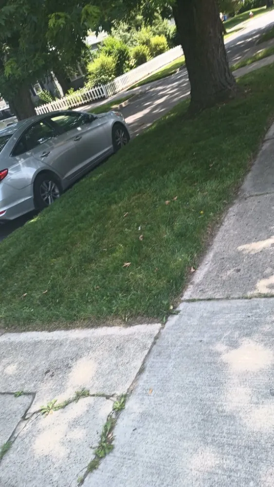 Trusted yard cleanup service for residential properties across Toledo, OH - MC'S Lawncare