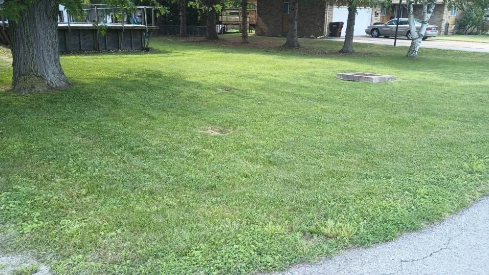 Top-rated yard cleanup service in Toledo, OH by MC'S Lawncare
