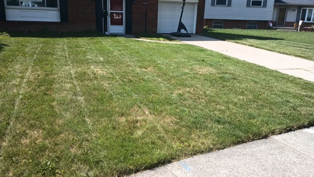 Professional yard cleanup service for beautiful yards across Toledo, OH - MC'S Lawncare