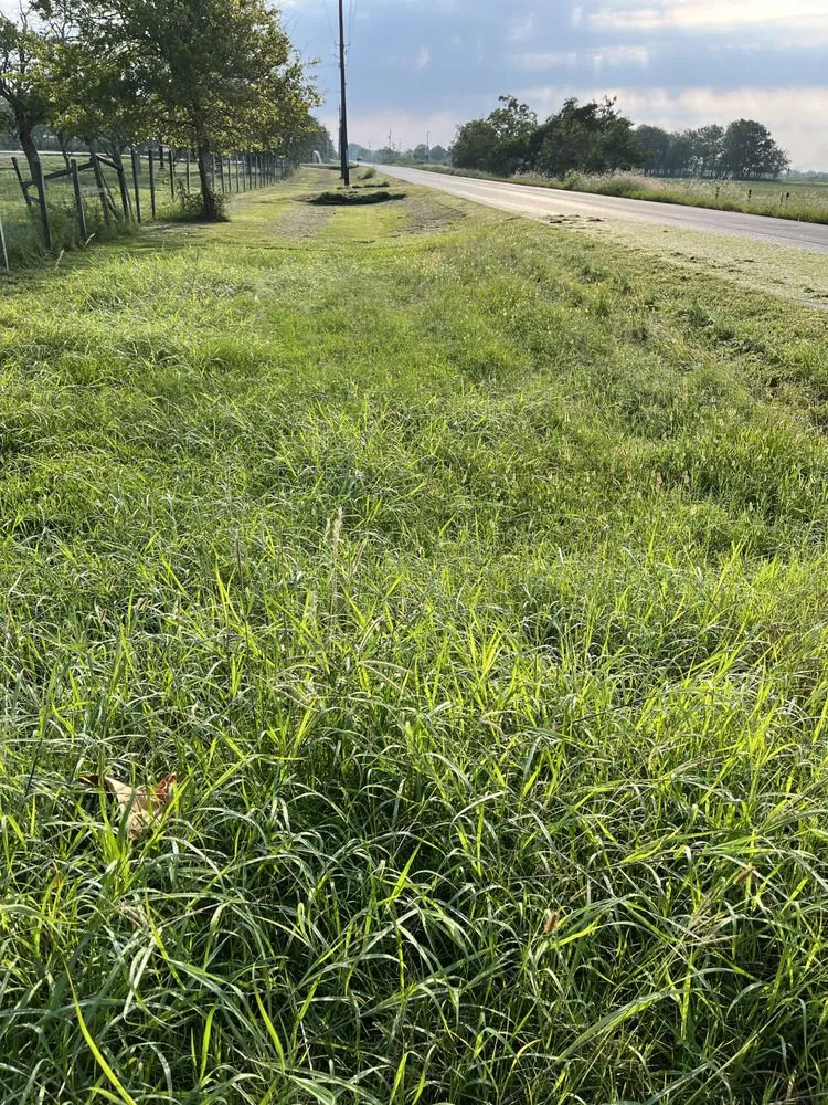 Top-rated yard maintenance near you across Clute, TX - MC’s Mowing Services