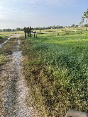 MC’s Mowing Services