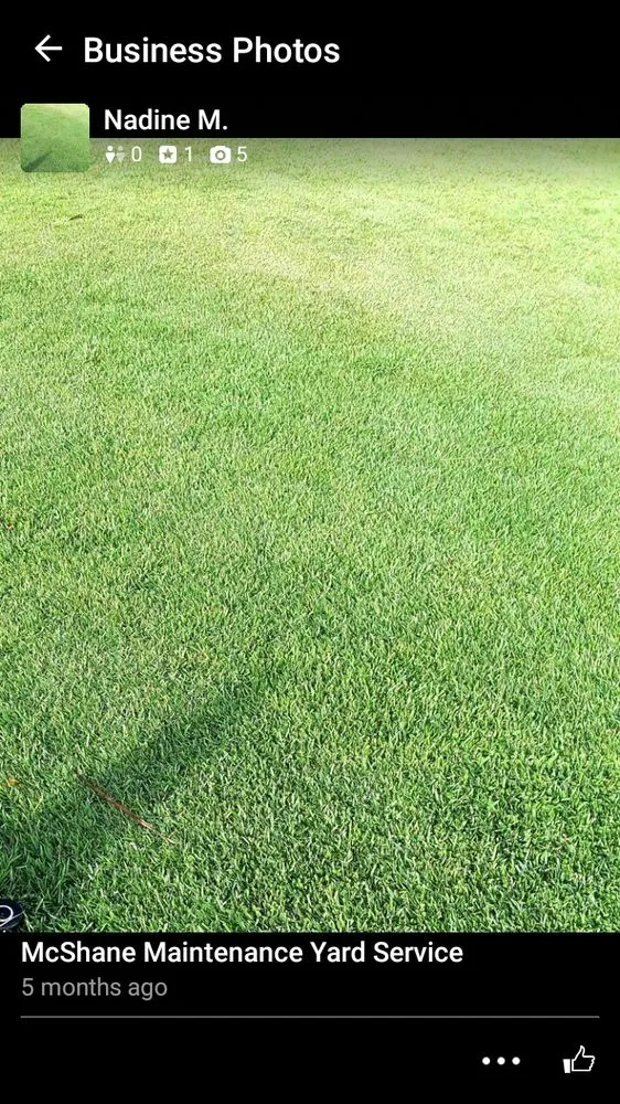 Custom residential landscaping experts serving Waipahu, HI - McShane Maintenance Yard Service