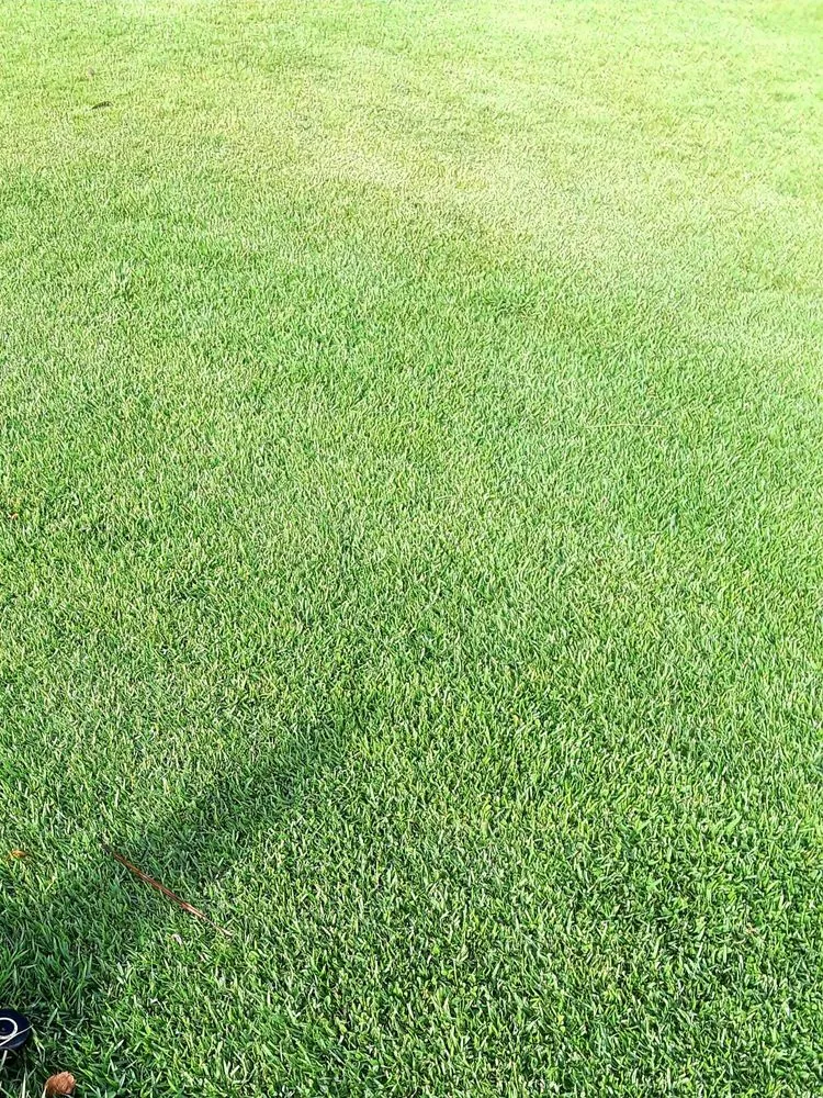 Professional garden landscaping in Waipahu, HI - McShane Maintenance Yard Service