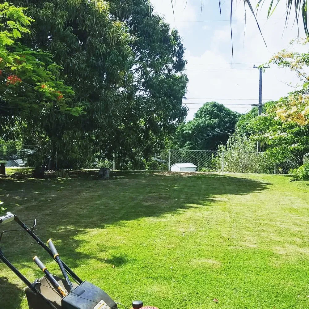 Affordable outdoor landscaping for outdoor upgrades in Waipahu, HI by McShane Maintenance Yard Service