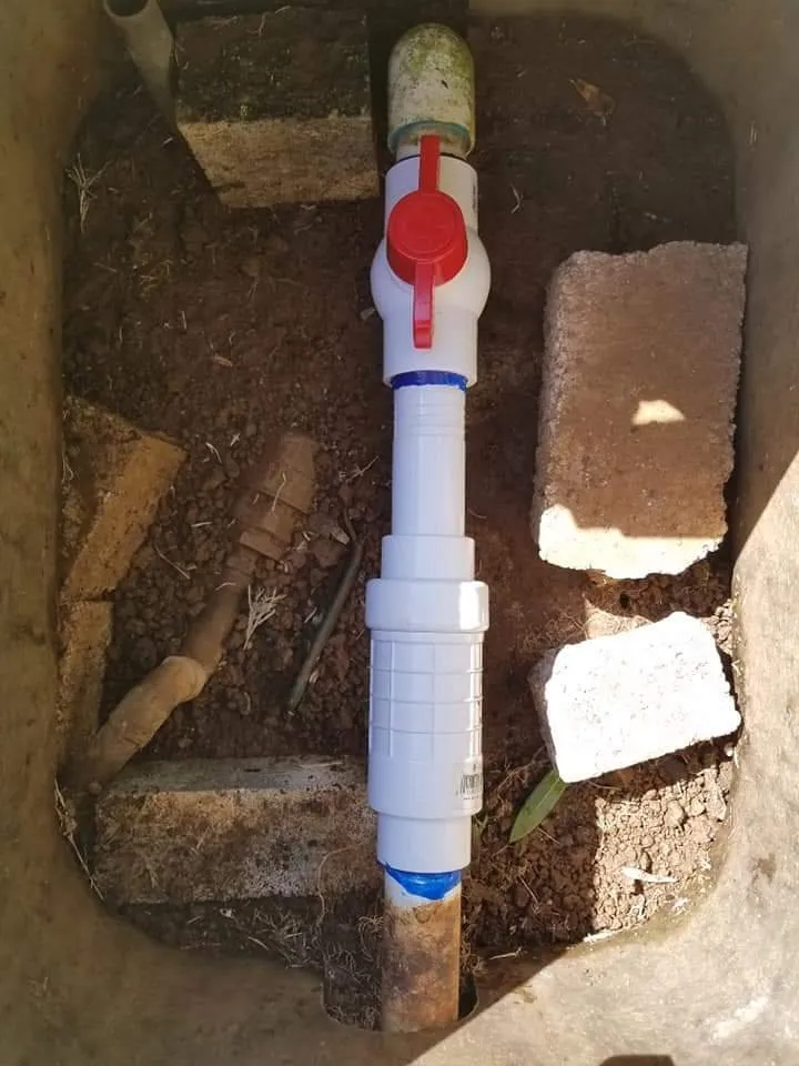 Local residential landscaping in Waipahu, HI - McShane Maintenance Yard Service