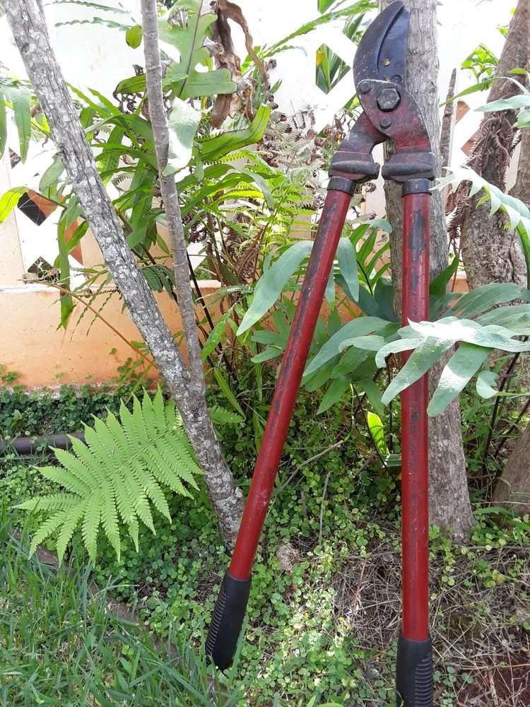 Trusted yard maintenance for outdoor upgrades across Waipahu, HI - McShane Maintenance Yard Service