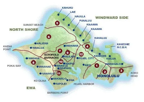 Reliable yard maintenance in Waipahu, HI by McShane Maintenance Yard Service