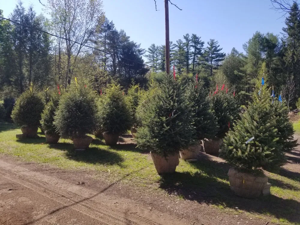 Professional landscape installation near you in Center Conway, NH by McSherry's Nursery And Garden Center