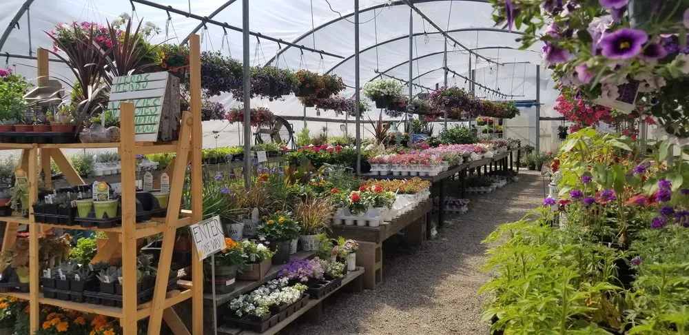 Affordable landscaping services for residential properties in Center Conway, NH by McSherry's Nursery And Garden Center