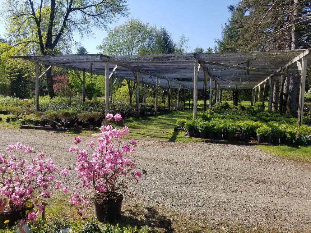 Trusted garden landscaping in Center Conway, NH by McSherry's Nursery And Garden Center