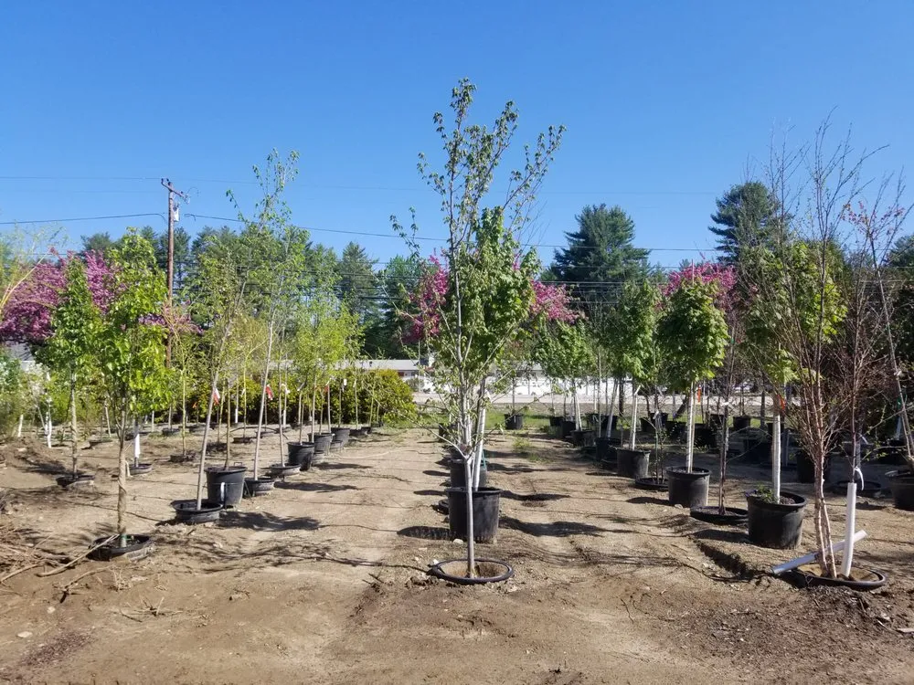Trusted garden landscaping experts serving Center Conway, NH - McSherry's Nursery And Garden Center