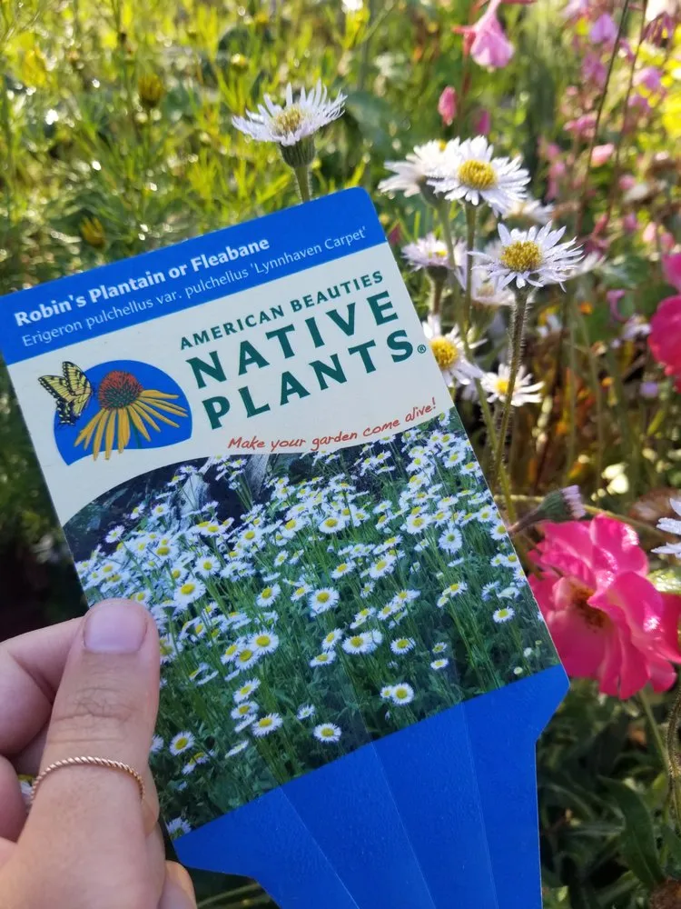 Professional landscaping services in Center Conway, NH by McSherry's Nursery And Garden Center