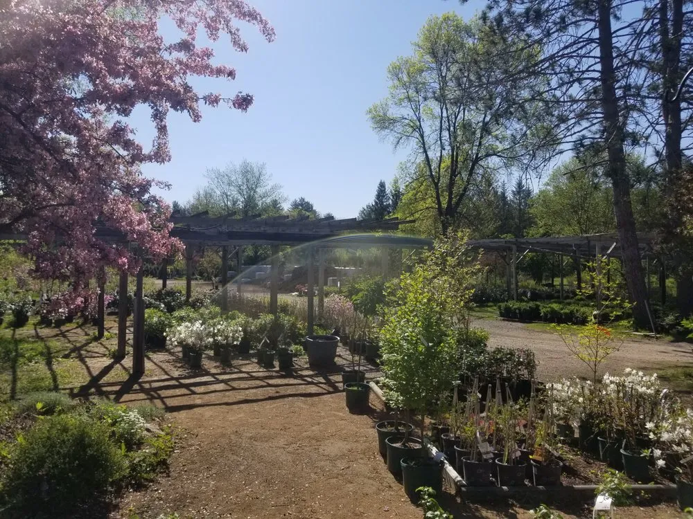 Custom outdoor landscaping in Center Conway, NH - McSherry's Nursery And Garden Center