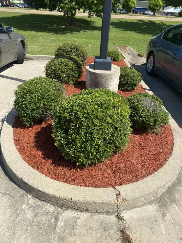 Trusted landscape design for beautiful yards in Jackson, MS by McSmith Landscaping