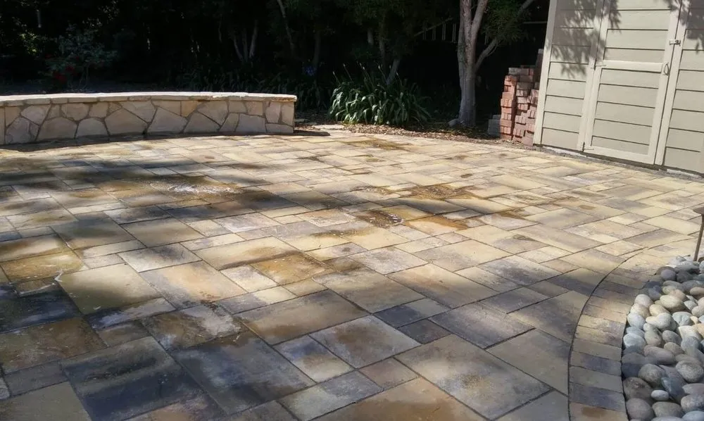 Expert lawn care service for residential properties in Campbell, CA by McTighe Landscaping