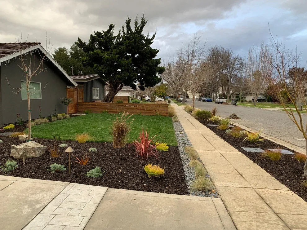 Top-rated lawn care service near you in Campbell, CA by McTighe Landscaping