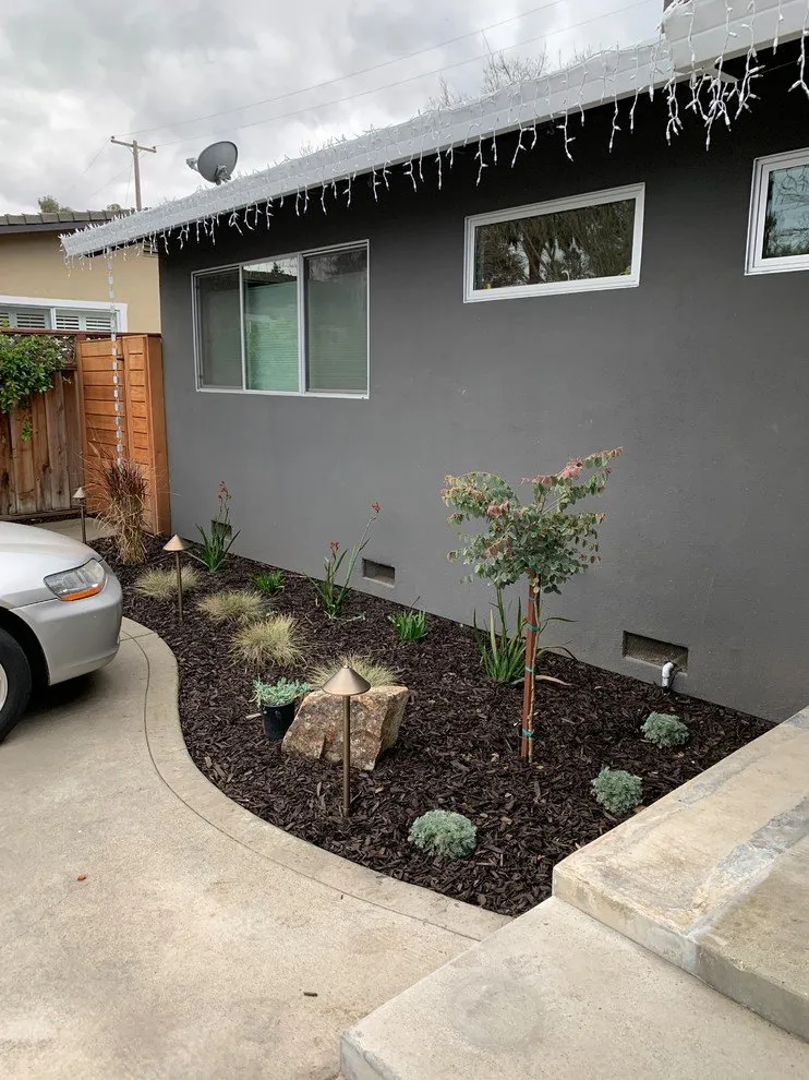 Affordable lawn care service in Campbell, CA by McTighe Landscaping