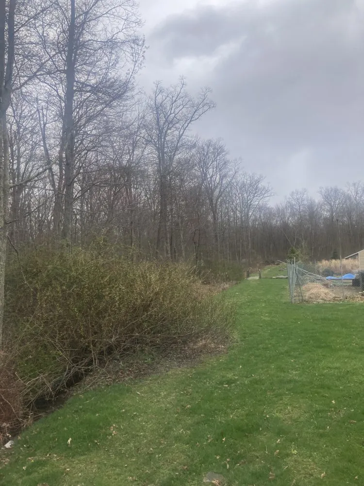 Custom landscaping services for homes across East Stroudsburg, PA - McT’s Property Care