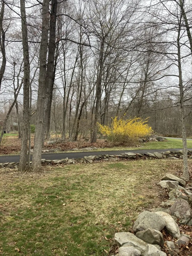 Custom lawn mowing service with custom design in East Stroudsburg, PA by McT’s Property Care