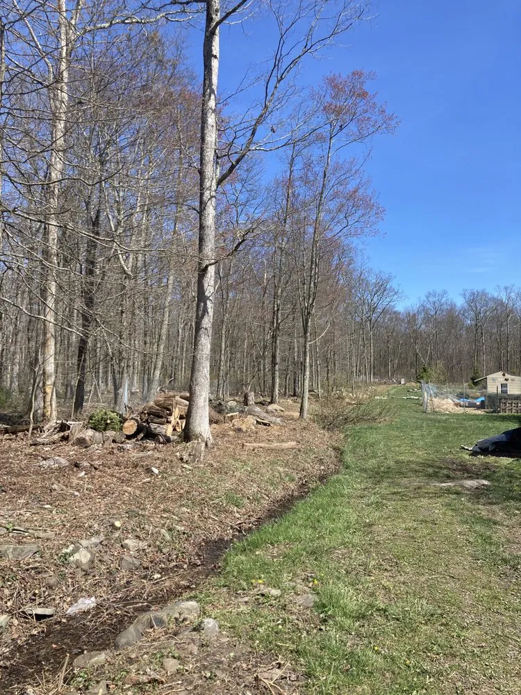 Affordable landscaping services for year-round maintenance in East Stroudsburg, PA by McT’s Property Care