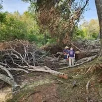 Trusted outdoor landscaping experts serving Marshall, TX - McVicar Land Management & Solutions