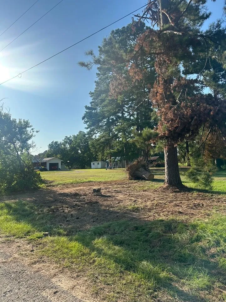 Custom yard maintenance in Marshall, TX - McVicar Land Management & Solutions