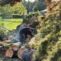 Professional outdoor landscaping in Marshall, TX - McVicar Land Management & Solutions