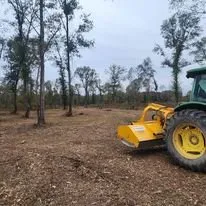 Trusted landscape design experts serving Marshall, TX - McVicar Land Management & Solutions