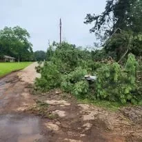 Affordable lawn care service in Marshall, TX - McVicar Land Management & Solutions