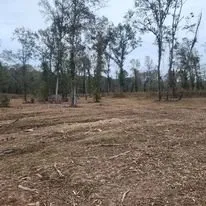 Trusted outdoor landscaping experts serving Marshall, TX - McVicar Land Management & Solutions