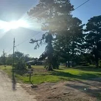 Affordable landscaping services in Marshall, TX by McVicar Land Management & Solutions