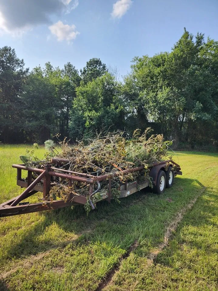 Top-rated landscape design for beautiful yards across Marshall, TX - McVicar Land Management & Solutions