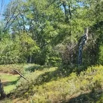 Local landscaping services experts serving Marshall, TX - McVicar Land Management & Solutions