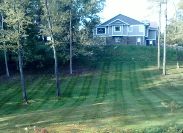 Reliable yard cleanup service with custom design across Apollo, PA - McWilliams Landscape Construction