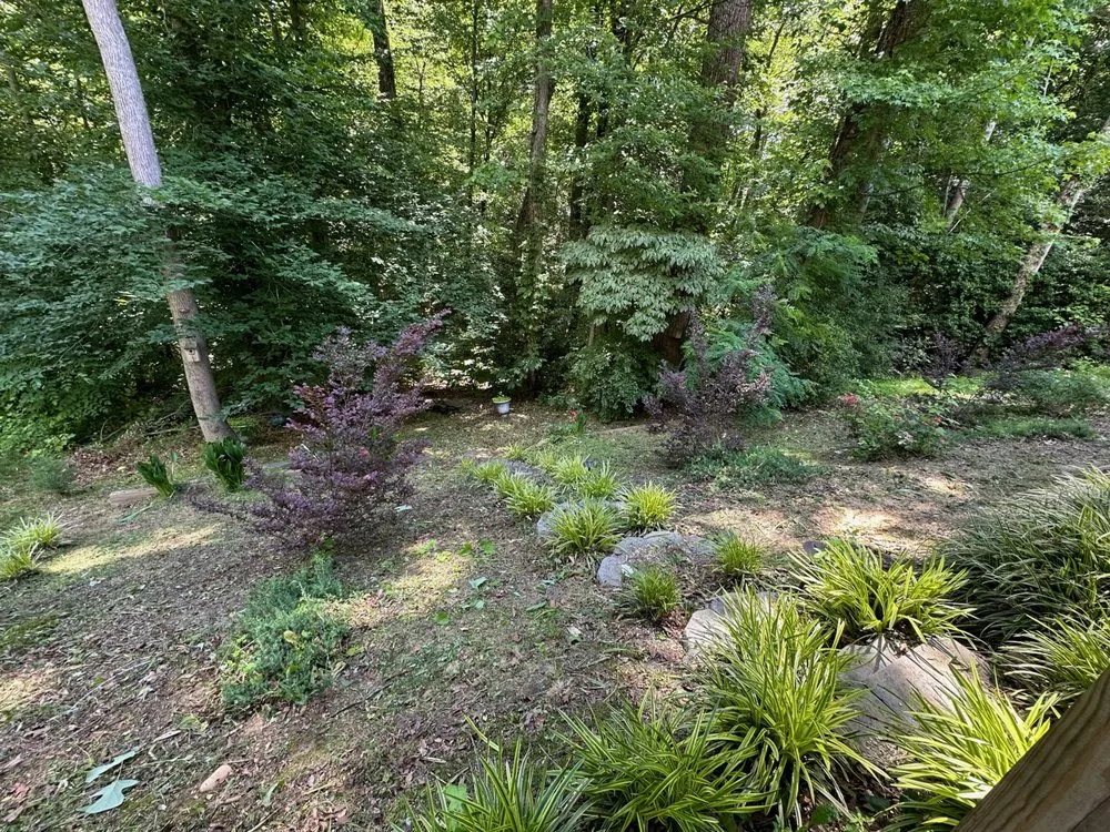 Top-rated garden landscaping near you in Stafford, VA by M&D Contracting and Landscape