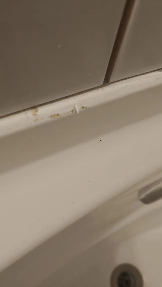 Trusted residential landscaping experts serving Stafford, VA - M&D Contracting and Landscape