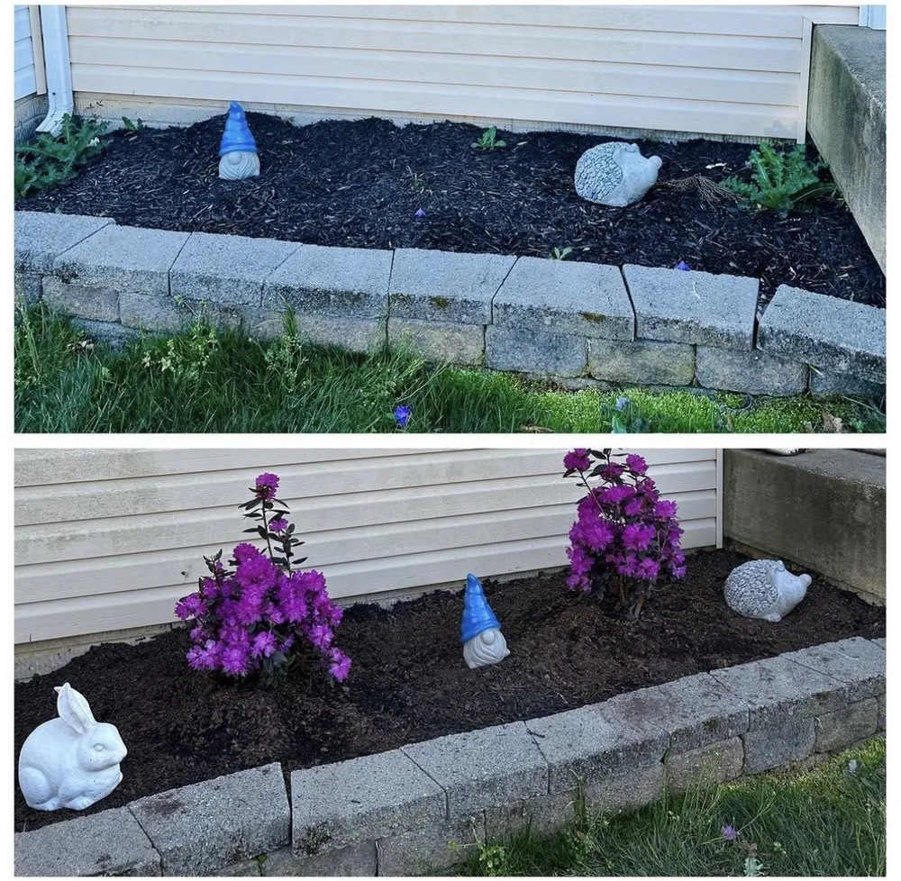 Expert garden landscaping for year-round maintenance across Stafford, VA - M&D Contracting and Landscape