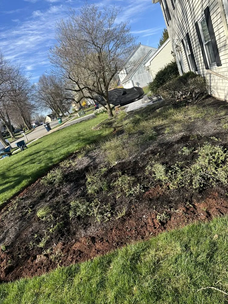 Reliable yard cleanup service in Lake Hopatcong, NJ - M&D Hardscape Services