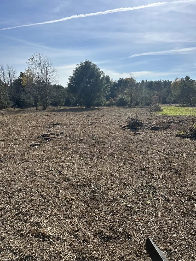 Local landscaping services in Burtchville Township, MI - M&D Land Clearing