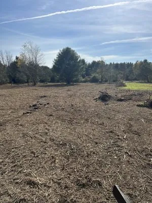 M&D Land Clearing